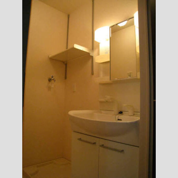 洗面所 (洗面所)