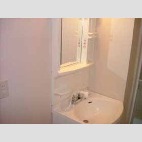 洗面所 (洗髪洗面化粧台)