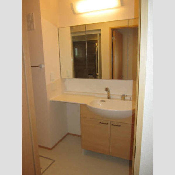 洗面所 (洗髪洗面化粧台)