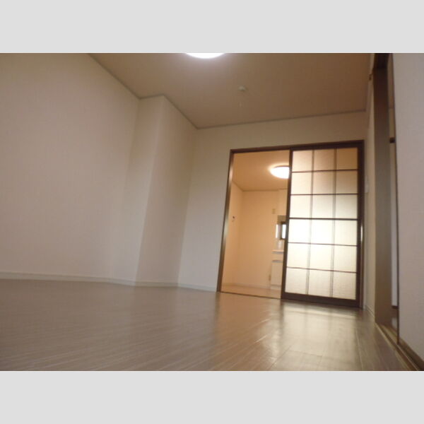 その他 (南西洋室)