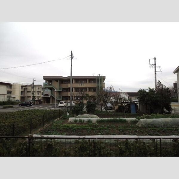 現地周辺 (眺望)