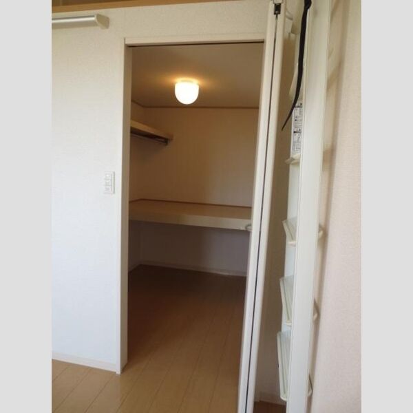 収納 (ウォークインクローゼットです)