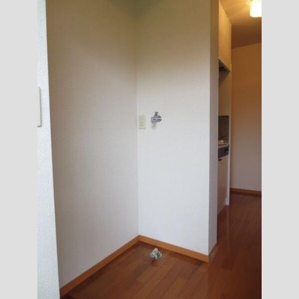 その他 (室内洗濯機置き場です)