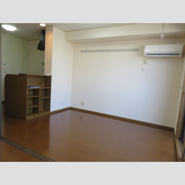 居室・リビング (LDK)