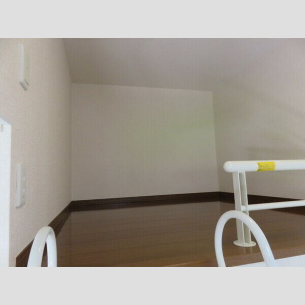 その他 (ロフト収納)