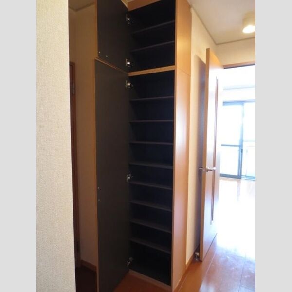 その他 (トールタイプのシューズBOXです)