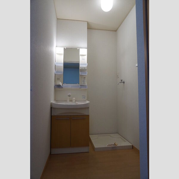 洗面所 (洗髪洗面化粧台)