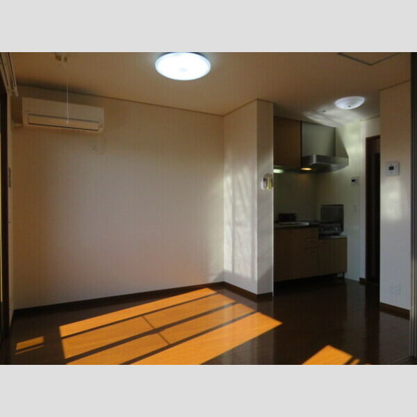 居室・リビング (DK)