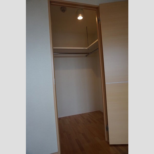 収納 (ウォークインクローゼットです)