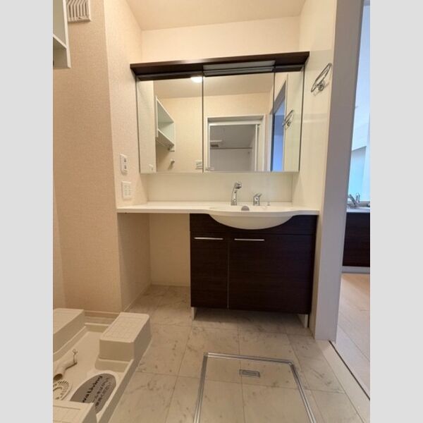 洗面所 (洗面化粧台)