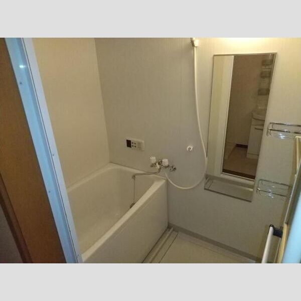 バス (メゾン・ドレシャトー203　浴室)