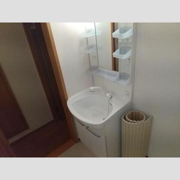 洗面所 (メゾン・ドレシャトー203　洗面所(洗髪洗面化粧台設備))