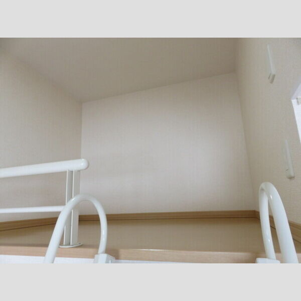 その他 (ロフト収納)