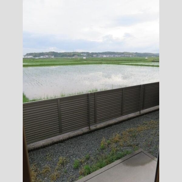その他 (専用庭)