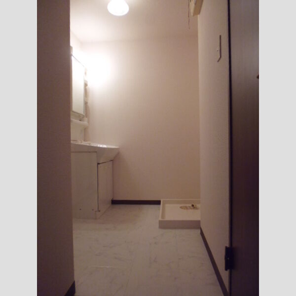 その他 (洗面所)