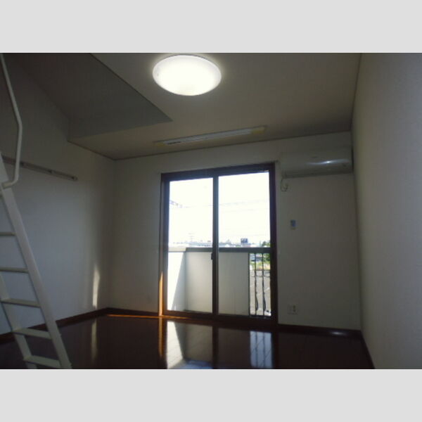 居室・リビング (洋室南(ボナンザ　201))