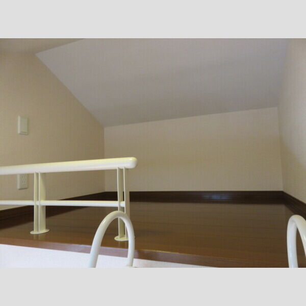 その他 (ロフト収納)