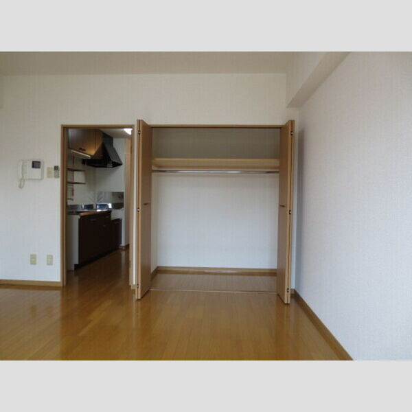 収納 (クローゼット)