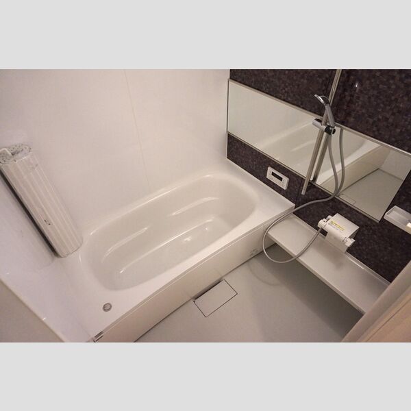 バス (一坪風呂)