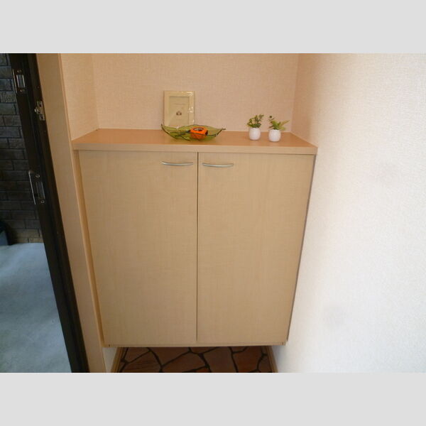 玄関 (シューズボックス)