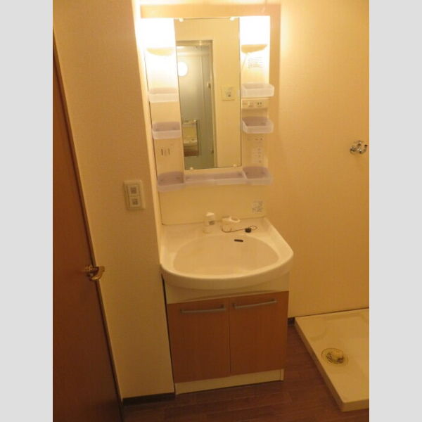 洗面所 (洗髪洗面化粧台)