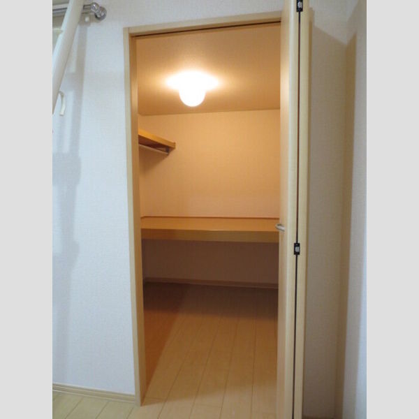 収納 (ウォークインクローゼットです)