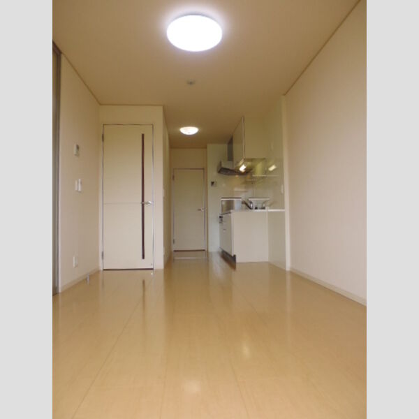 居室・リビング (LDK)