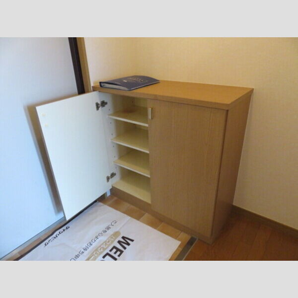 玄関 (シューズボックス)