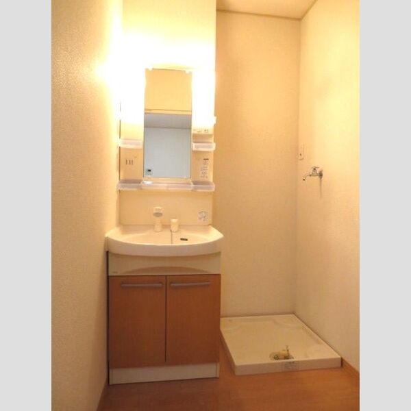 洗面所 (洗面・洗濯機スペース)