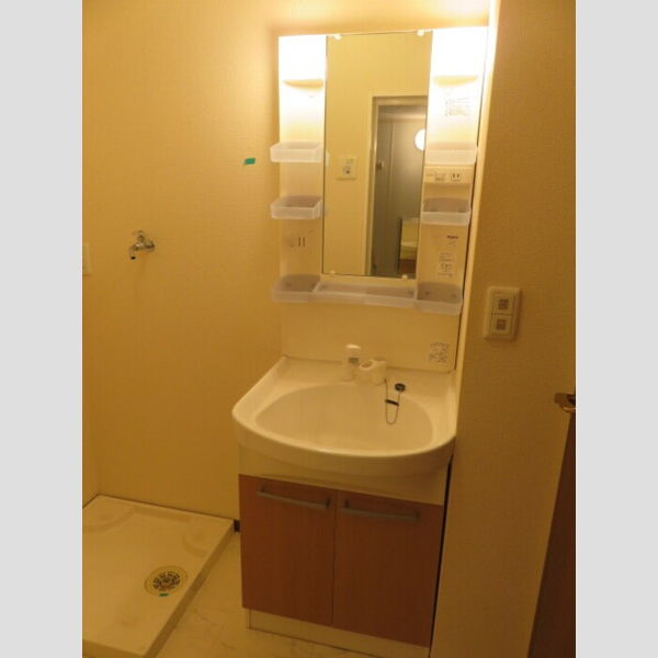 洗面所 (洗髪洗面化粧台)