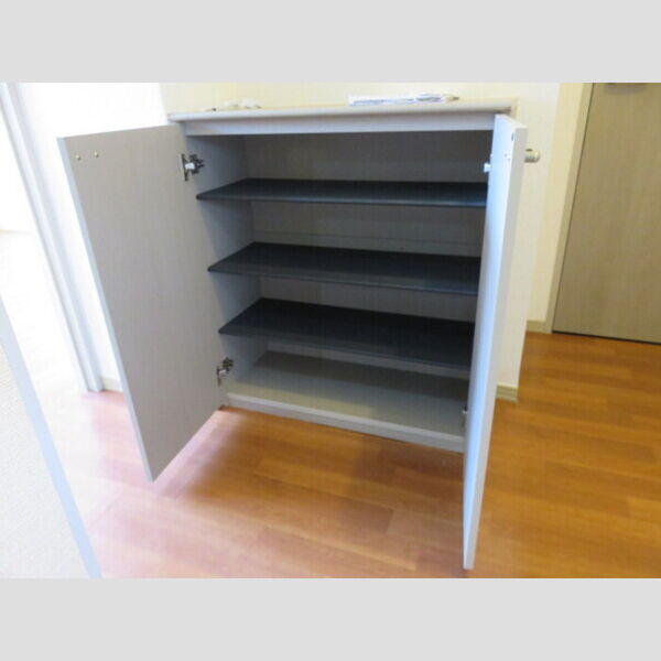 玄関 (シューズボックス)