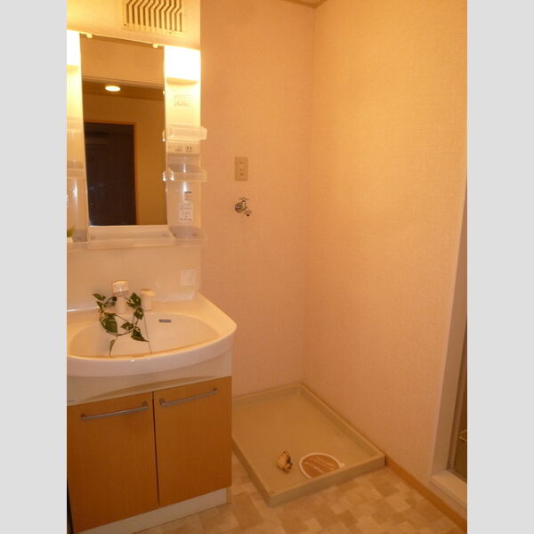 洗面所 (洗面所)