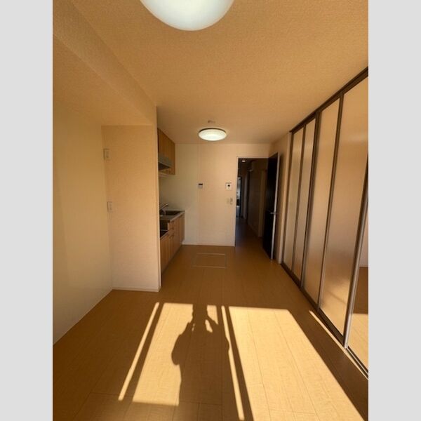 居室・リビング (LDK)