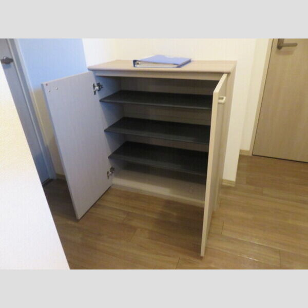 玄関 (シューズボックス)