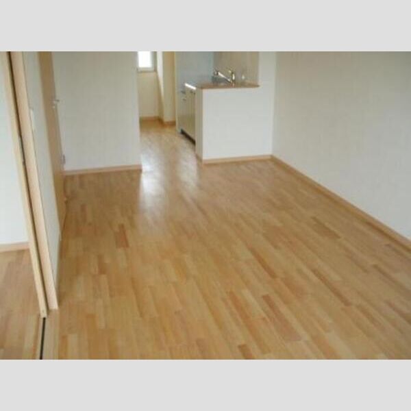 居室・リビング (LDK)