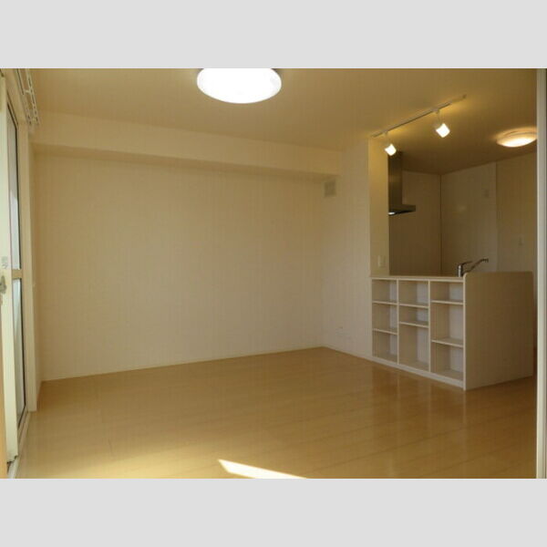 居室・リビング (LDK)