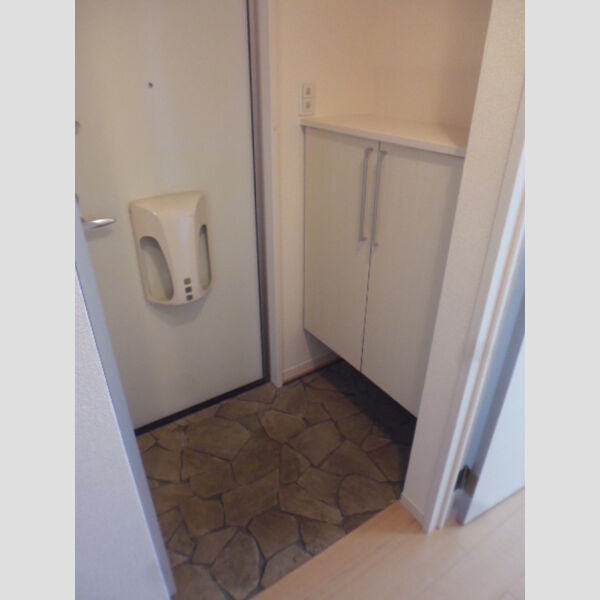 その他 (玄関(リビングタウンさくらだ203))