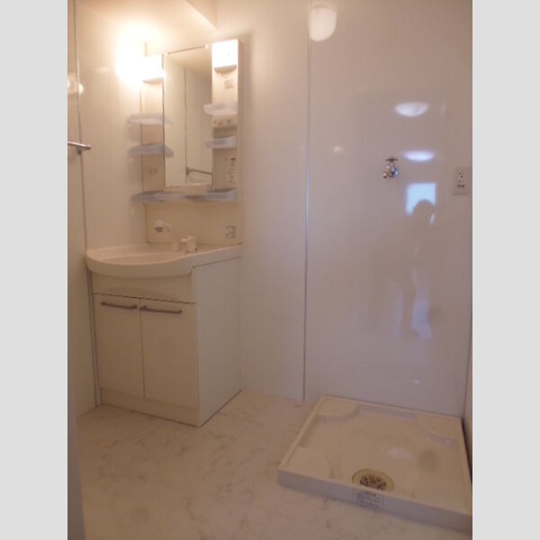 洗面所 (洗面室(リビングタウンさくらだ203))