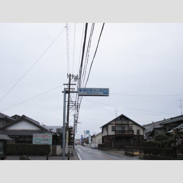 現地周辺 (藤の花が有名です。)