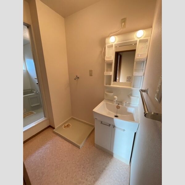 洗面所 (洗面所)