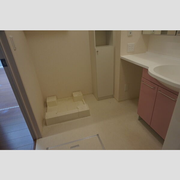 洗面所 (洗面所(室内洗濯機置場(上部棚有り)、ワイドミラー洗髪洗面化粧台)