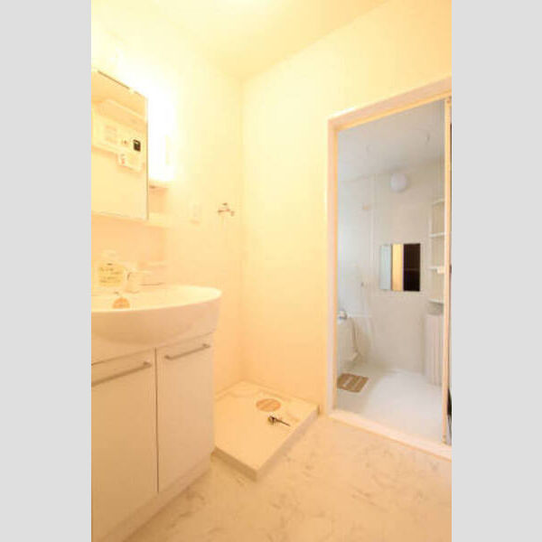 洗面所 (洗面所)