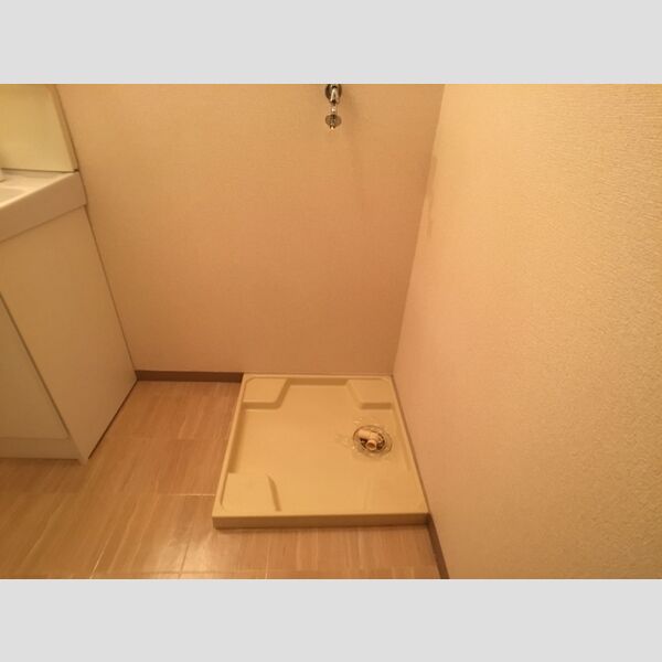 その他 (室内洗濯機置場)