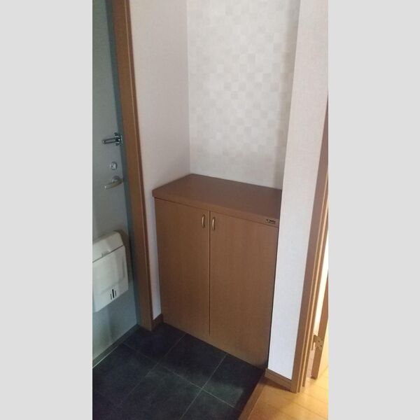 玄関 (シューズBOX(カウンタータイプ))
