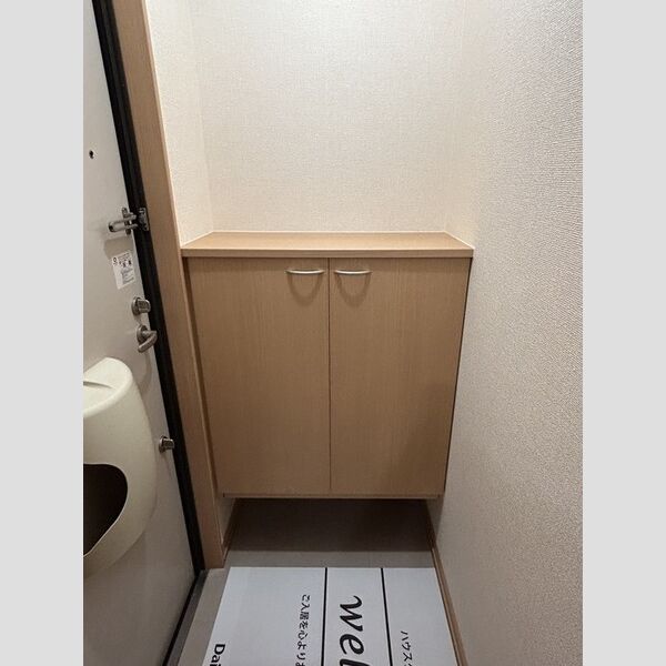 玄関 (シューズボックス(カウンタータイプ))