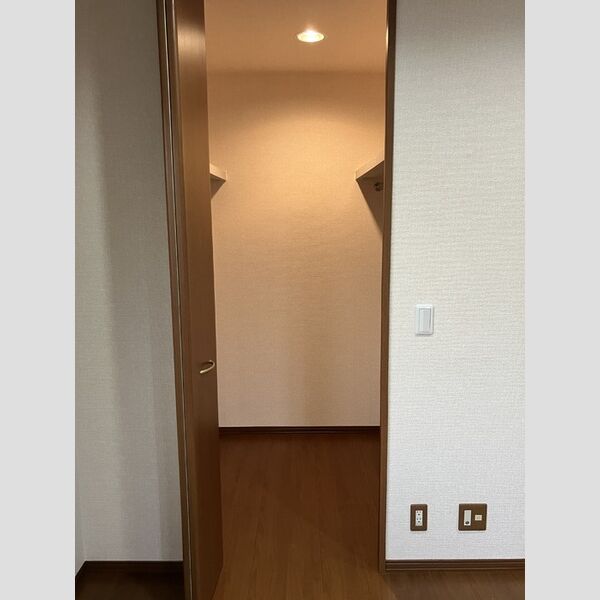 収納 (ウォークインクローゼット)