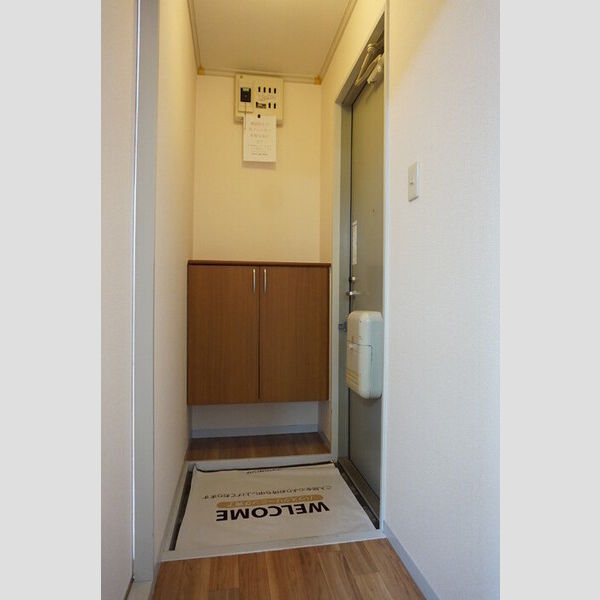 玄関 (シューズボックス(カウンタータイプ))