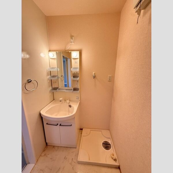 洗面所 (洗髪洗面化粧台)