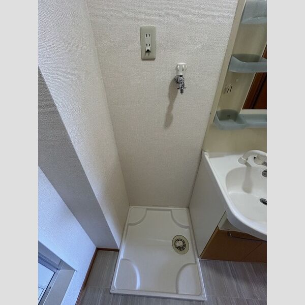 洗面所 (室内洗濯機置き場)