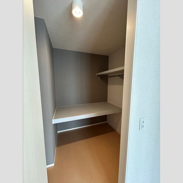 収納 (クローゼット)